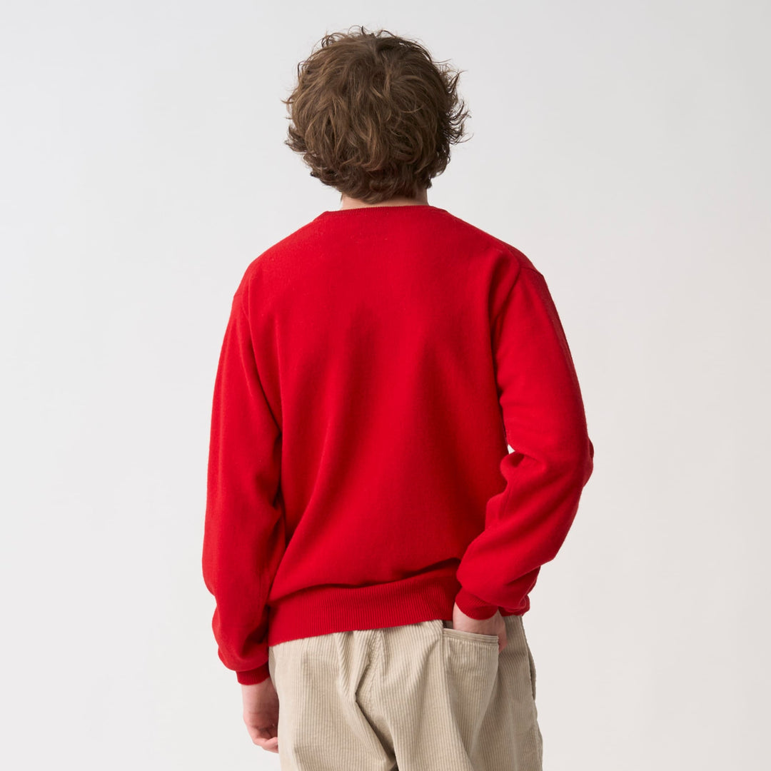Men's Lambswool Crew Neck Knit Pullover