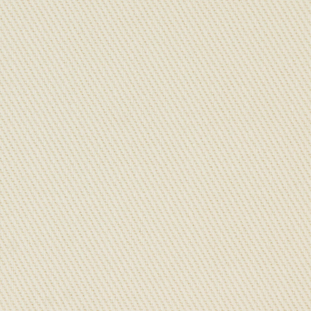 WOMEN'S HEAVY TWILL 2TUCK EASY PANTS