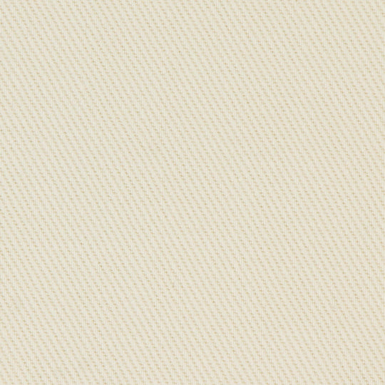 WOMEN'S HEAVY TWILL 2TUCK EASY PANTS