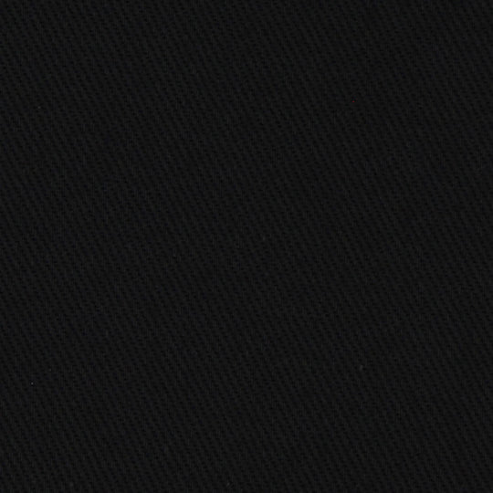 WOMEN'S HEAVY TWILL 2TUCK EASY PANTS