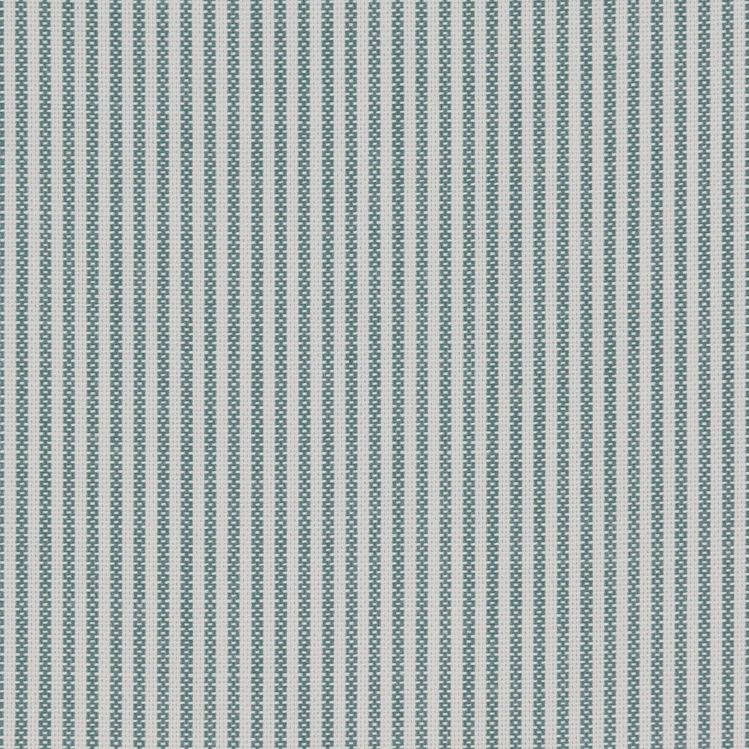 WOMEN'S OXFORD CLASSIC COLLAR DRESS