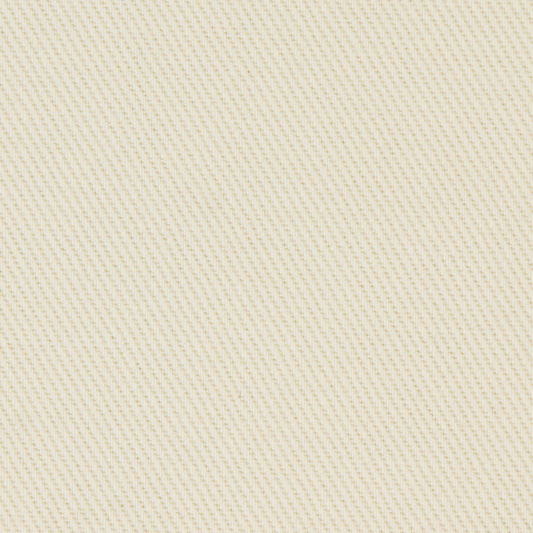 MEN'S HEAVY TWILL 2TUCK EASY PANTS