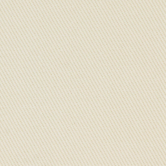 MEN'S HEAVY TWILL 2TUCK EASY PANTS