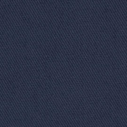 MEN'S HEAVY TWILL 2TUCK EASY PANTS