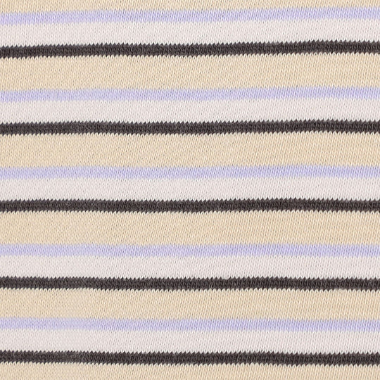 Women's Cotton Jersey Short T-shirt Stripe