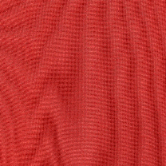 Store-Exclusive Women's Cotton Jersey Short Length T-shirt